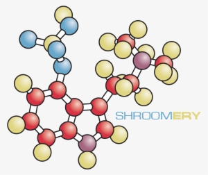Psilocybin Light - Circle