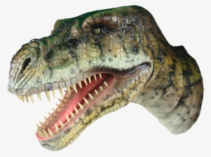 Dinosaur Head Hanging - Tyrannosaurus