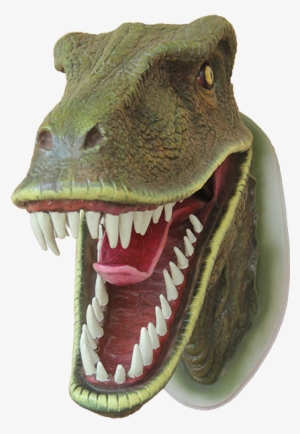 Head Dinosaur Png
