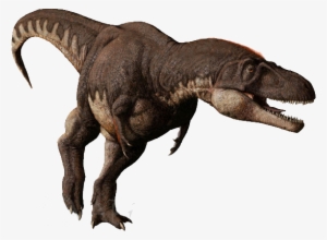 With Its Massive Head And Large Teeth, There Is No - Dinosaurs Daspletosaurus