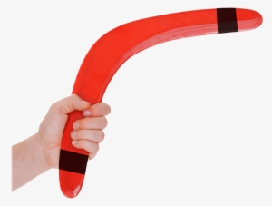 Barcode Systems Boomerang - Barcode System