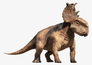 And Probably Protect His Head From The Blows (absorbing - Dinosaur With Fan Head