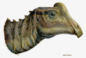 Panzarin Head - Parasaurolophus Joe