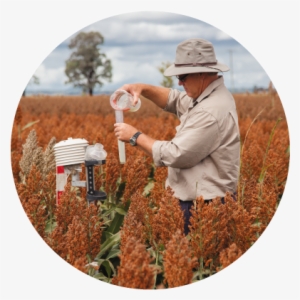 Uq And The Queensland Government's Investment In Qaafi - The University Of Queensland