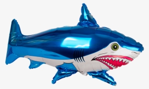 Globo Tiburon 69 - Tiburon Globo