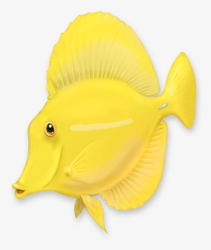Yellow Tang