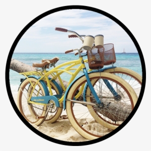 Bike Rentals - Bicycle