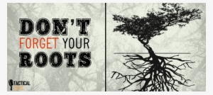 Public Speaking Forget - Dont Forget Your Roots