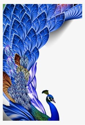 Peacock Png Download Image - Happy Krishna Janmashtami Wishes