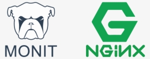 Monit Can Be Used To Monitor Your Services On Your - Nginx Logo