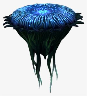 Lost River Lilypad Flora - Illustration