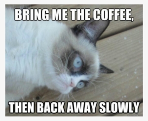 Geeky Talk's Weekly Hype - Ve Seen Things Meme