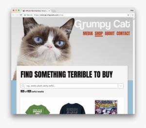 Grumpy Cat Became A Living Legend In 2012 When Her - Grumpy Cat- Go Away Poster 22 X 34in