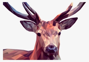 Low Poly Portraits Of Animals - Low Poly Deer