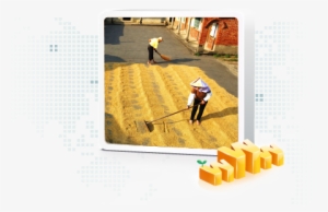 In 1987, The Bureau Created The Slopeland Village Comprehensive - Soil And Water Conservation Bureau