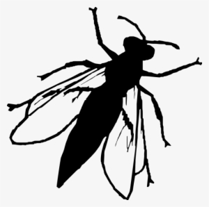 Mosca Vector Png