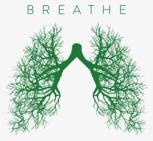 Breathe Campaign - Csulb Breathe