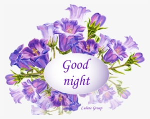 Flowers Good Night Images - Good Night Photo Flowers