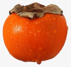 Persimmon Png Free Download - Persimmon Png