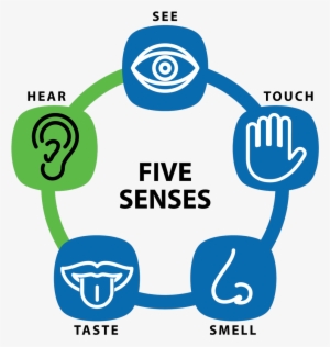 Five Senses Of Hearing Loss - 5 Rights In Public Procurement