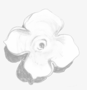 Persimmon-cap - Science