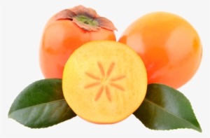 Persimmons - Fruit