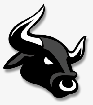 Bloomingdale High School Logo