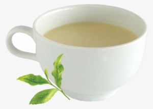 Tea Tree Cafe Hot Green Milk Tea - Cup