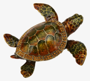 Loggerhead Sea Turtle Pewter Figurine Box - Loggerhead Sea Turtle Png