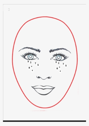 Need Facial Image To Face Mask Conversion Software - Contouring For Oval Face