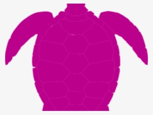 Sea Turtle Clipart Tutle - Turtle Clipart Png Black
