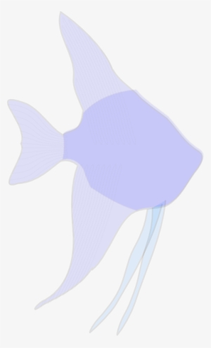 Angelfish Silhouette Svg Clip Arts 360 X 595 Px