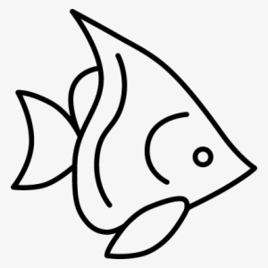 Silver Angelfish Vector - Angelfish