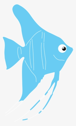 The Super-attractive, Elegant Angelfish Are Perhaps - Fish