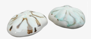 Sea Biscuit Salt Pepper Shakers - Salt And Pepper Shakers