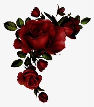 Золотая Бабочка - Roses Corner Border Png