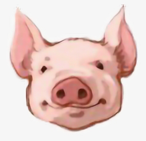 Pig Head Png