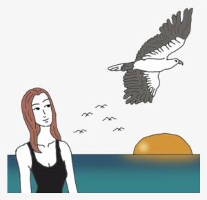 Sea Eagle - Illustration