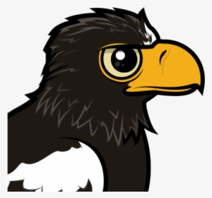 About The Steller's Sea Eagle - Steller Sea Eagle Habitat