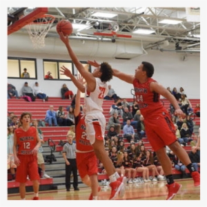 Dom Mcgriff Welcome Addition To Foxes' Basketball - Fox Chapel