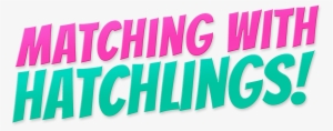 Matching With Hatchlings - Graphic Design