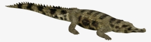 False Gharial - Zoo Tycoon 2 Nile Crocodile