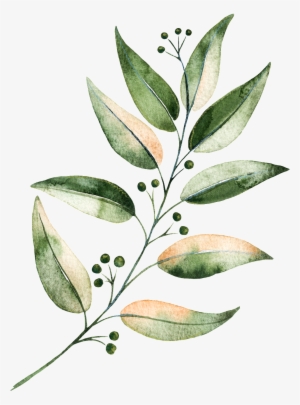 Hand Painted Green Plants - Portable Network Graphics