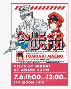 We Have Special Guest Tomoaki Maeno And Tons Of Fun - Cells At Work Icon