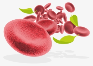 Red Blood Cells And Leaves - Red Blood Cell
