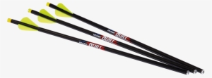 Quill Carbon Arrows Jpg - Arrow