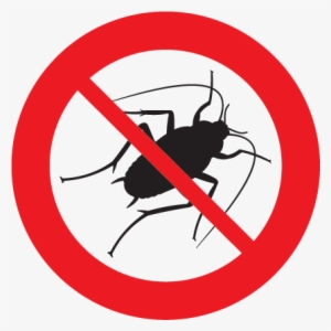 One Of The Most Seemingly Resilient Pests, Cockroaches - Interdit Fumer Png