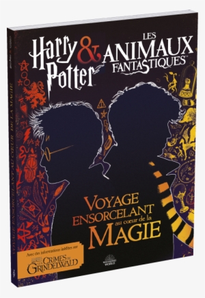 Have Rocked Hogwarts Since 1900, This Richly Illustrated - Fantastic Beast The Crimes Of Grindelwald Poster