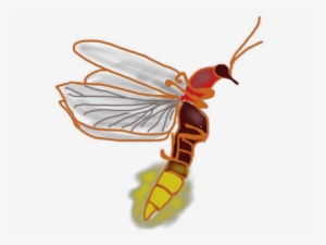 Rfct Rfct - Net-winged Insects