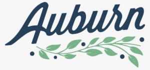 Essential Oils Sunburn Spray